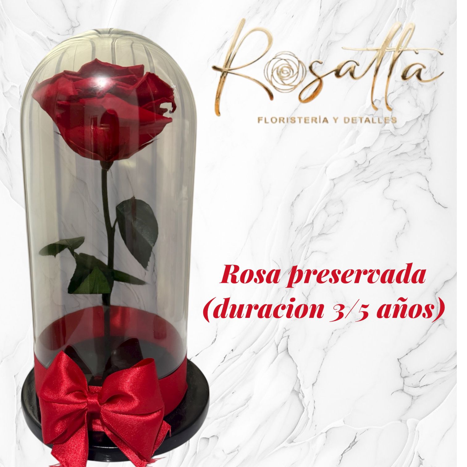 .Rosa preservada con lazo #004 - Image 2